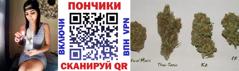 Канабис OG Kush  закладка  Устюжна 